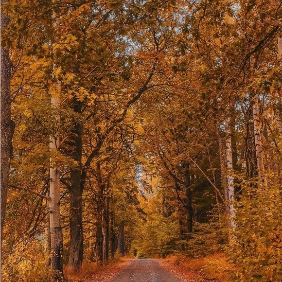 Happy Poshing! - Picture 10 of 16